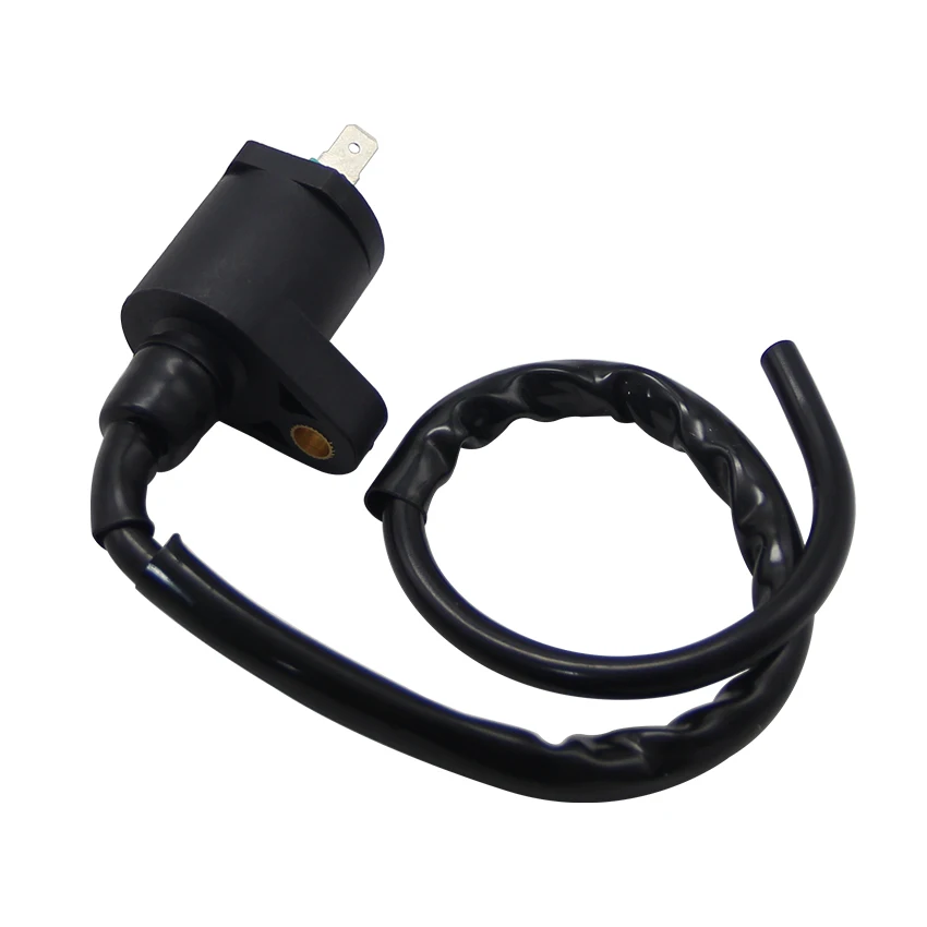 Motorcycle High Voltage Coil For Polaris Outlaw Predator 50 Sportsman 90 Ranger RZR 170 Phoenix Sawtooth 200 OEM:0452309 0453894
Motorcycle High Voltage Coil For Polaris Outlaw Predator 50 Sportsman 90 Ranger RZR 170 Phoenix Sawtooth 200 OEM:0452309 0453894