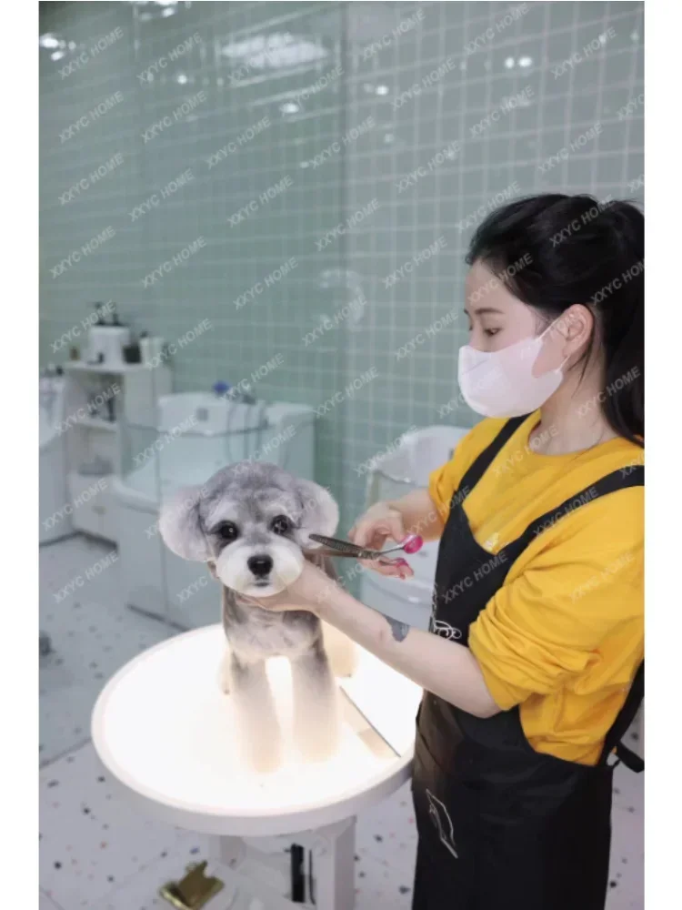 Luminous Table Pet Beauty Table Air Pressure Lifting Rotatable Cat Teddy Shearing Beauty Table
Luminous Table Pet Beauty Table Air Pressure Lifting Rotatable Cat Teddy Shearing Beauty Table