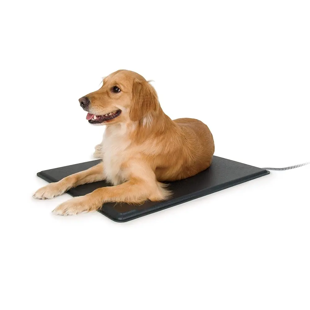 Lectro-Kennel Heated Outdoor Dog Pad, Durable Rigid Abs Plastic Waterproof Heated Pad For Cat & Dog Houses Outdoor, Washable
Lectro-Kennel Heated Outdoor Dog Pad, Durable Rigid Abs Plastic Waterproof Heated Pad For Cat & Dog Houses Outdoor, Washable