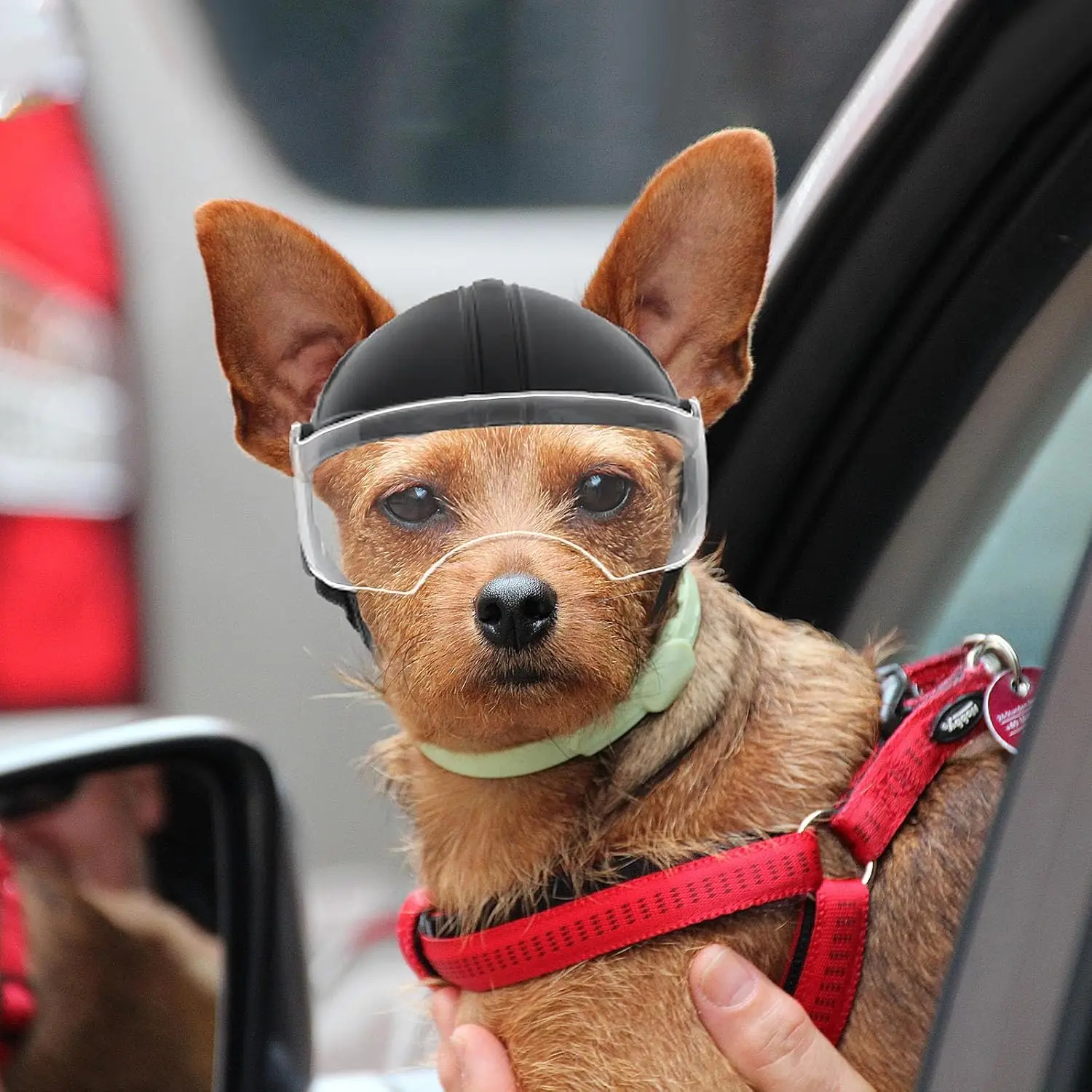 Dog Helmet Pet Motorcycle Helmet Ear Holes Adjustable Safety Hat Flip-Up Clear Visor Small-Medium Puppy Head Non-Spiked supplies
Dog Helmet Pet Motorcycle Helmet Ear Holes Adjustable Safety Hat Flip-Up Clear Visor Small-Medium Puppy Head Non-Spiked supplies