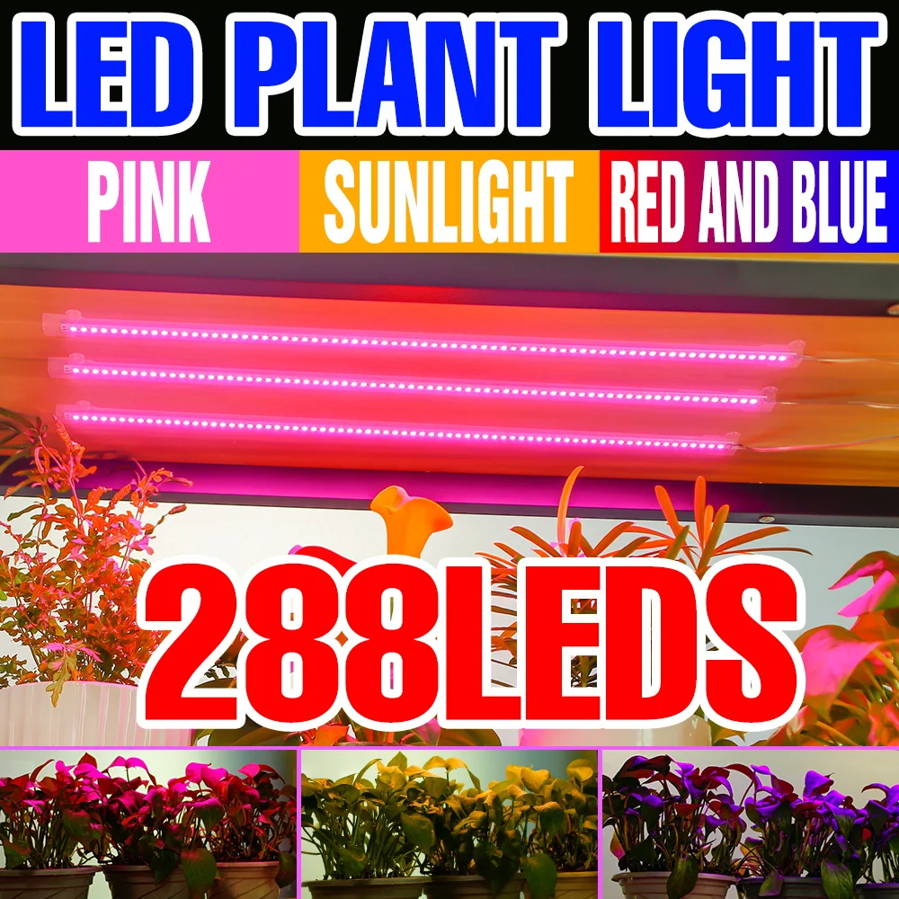 LED Grow Light Full Spectrum Plant Lamp USB Indoor Fruit Potted Vegetables Growbox With 24 Hour Timing Cultivation Fill Lighting
LED Grow Light Full Spectrum Plant Lamp USB Indoor Fruit Potted Vegetables Growbox With 24 Hour Timing Cultivation Fill Lighting
