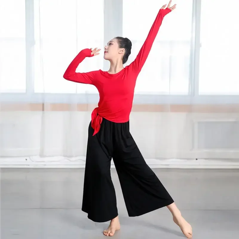 Dance suit, wide-leg pants suit, women's dance top, adult square dance body practice women's source factory supply
Dance suit, wide-leg pants suit, women's dance top, adult square dance body practice women's source factory supply