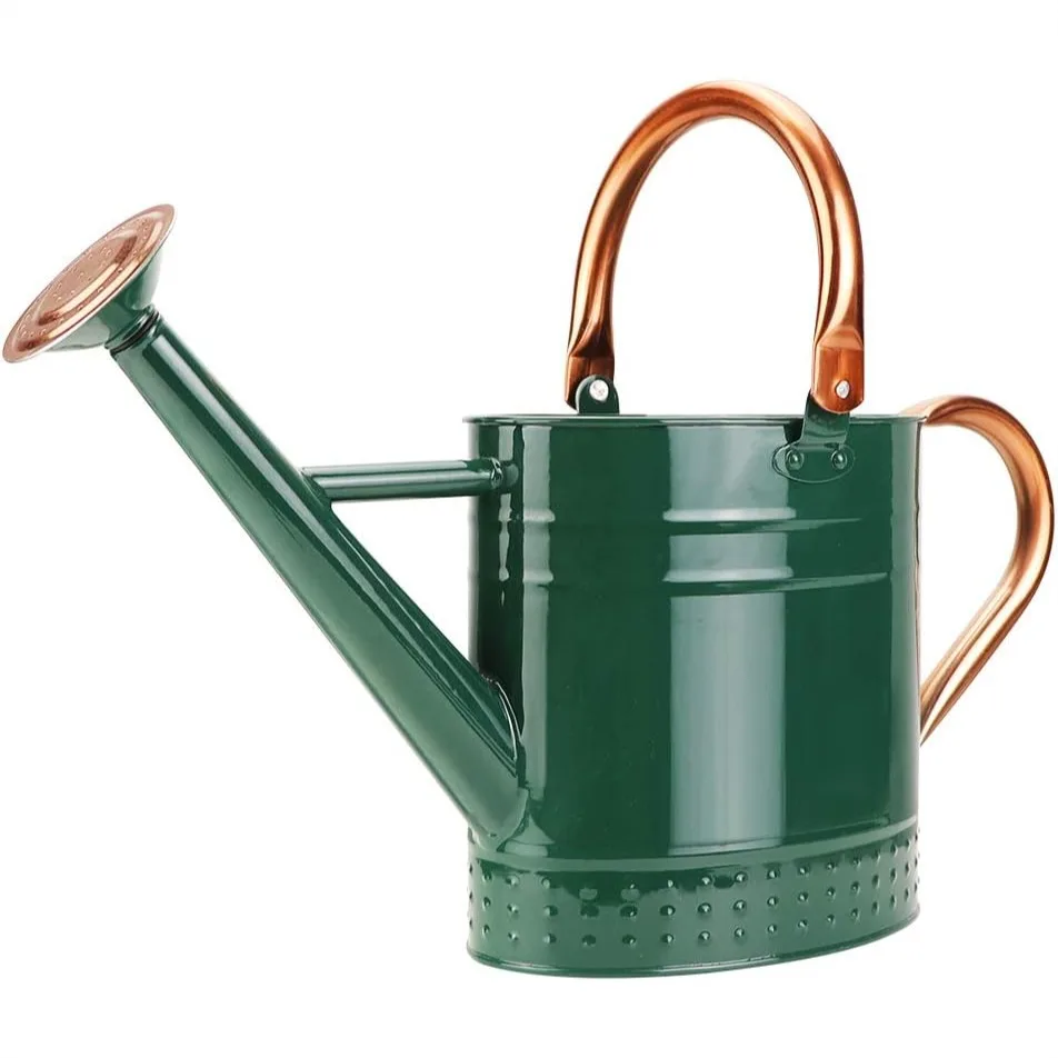 1 Gallon Metal Watering Can with Removable Spout, Galvanized Steel for Indoor Outdoor Plants
1 Gallon Metal Watering Can with Removable Spout, Galvanized Steel for Indoor Outdoor Plants
