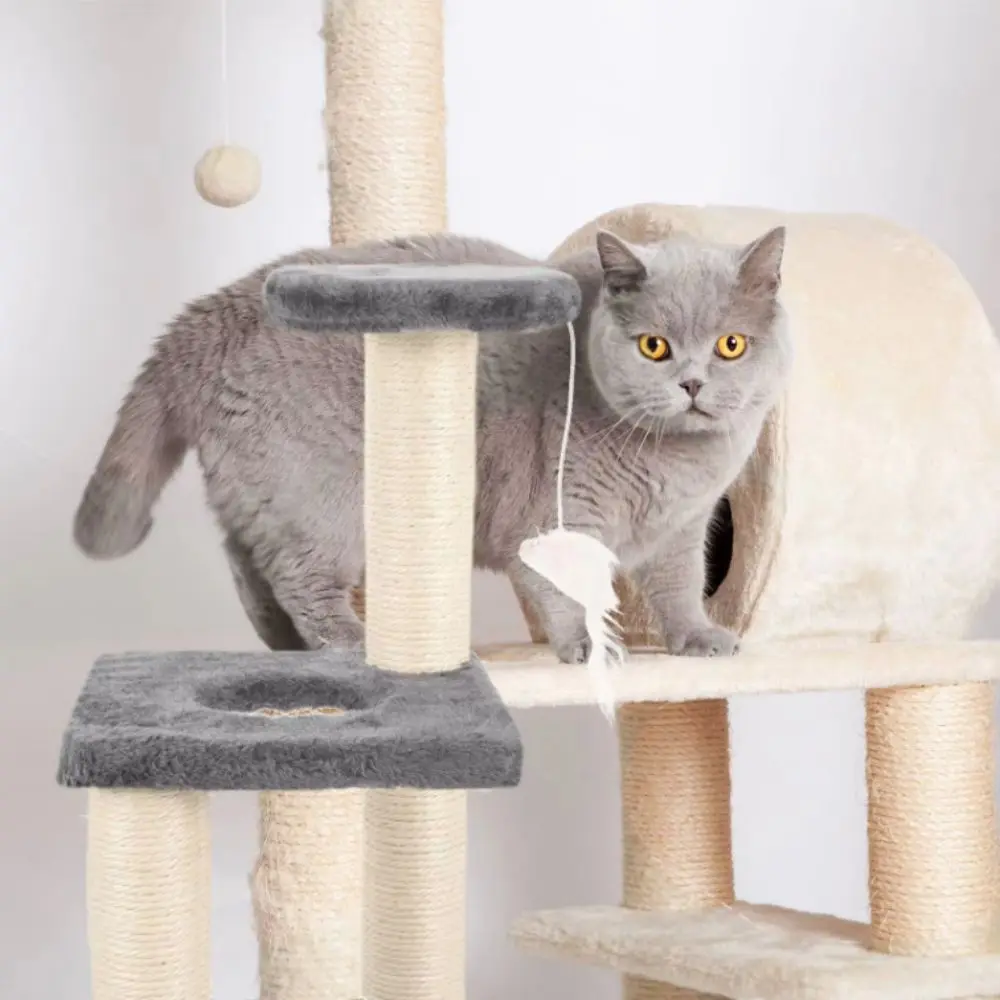 Board 3-Layers Cats Scratching Post Three Pillars Sisal Rope Cat Climbing Frame Durable Sturdy Paper Tube Scratchers Pet Fun Toy
Board 3-Layers Cats Scratching Post Three Pillars Sisal Rope Cat Climbing Frame Durable Sturdy Paper Tube Scratchers Pet Fun Toy