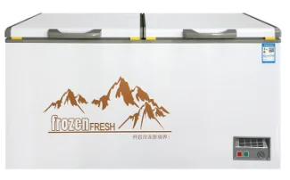 New Manufacturer Frost Free Deep Freezing Compact Design Single Door Horizontal Freezer
New Manufacturer Frost Free Deep Freezing Compact Design Single Door Horizontal Freezer