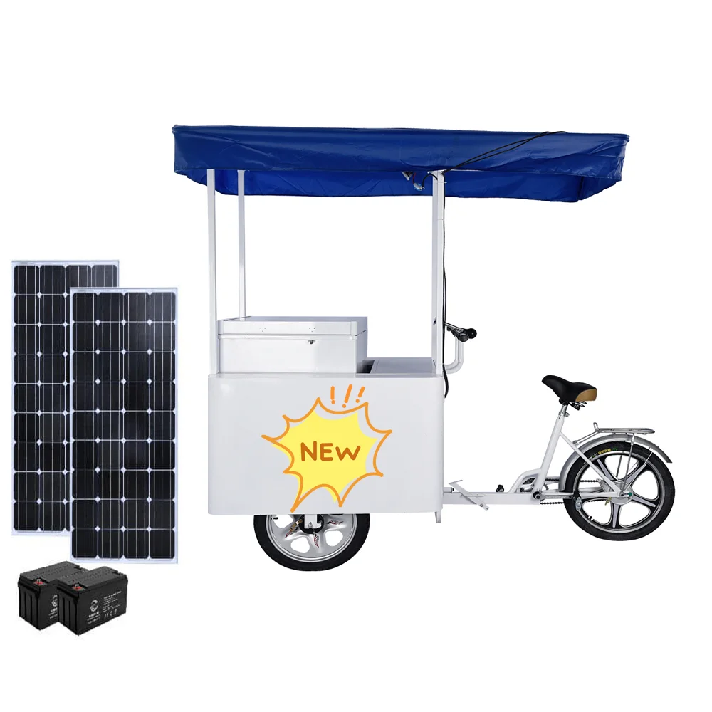 Hot Sales Popular Product Business Use High Quality Front Loading Freezer Tricycle Solar Ice Cream Bike for Sale 208 Litre
Hot Sales Popular Product Business Use High Quality Front Loading Freezer Tricycle Solar Ice Cream Bike for Sale 208 Litre
