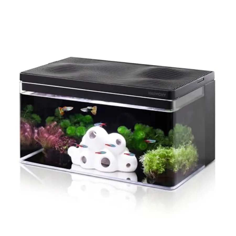 Aquarium kit for home use, low-iron glass, black tank with black top, integrated filtration and LED light
Aquarium kit for home use, low-iron glass, black tank with black top, integrated filtration and LED light