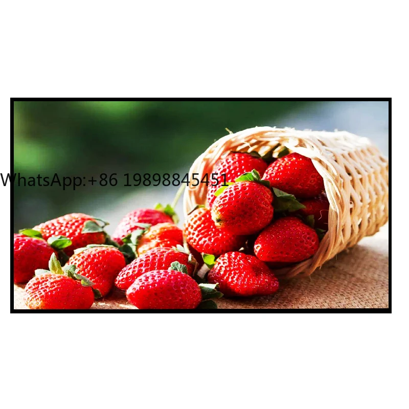 IP65 High Performance Commercial Outdoor LED Display P2.5 Advertising with High Refresh Rate Customizable
IP65 High Performance Commercial Outdoor LED Display P2.5 Advertising with High Refresh Rate Customizable