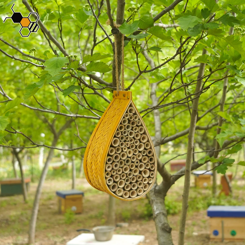 Natural Handmade Bamboo Mason Bee Tubes, Garden Bee Hive
Natural Handmade Bamboo Mason Bee Tubes, Garden Bee Hive