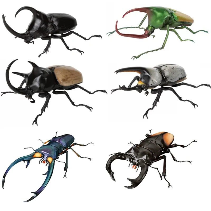 In Stock BANDAI Gashapon The Diversity of Life on Lucanidae Allomyrinadichotoma Model GACHA TOYS Big Biological Map Of
In Stock BANDAI Gashapon The Diversity of Life on Lucanidae Allomyrinadichotoma Model GACHA TOYS Big Biological Map Of