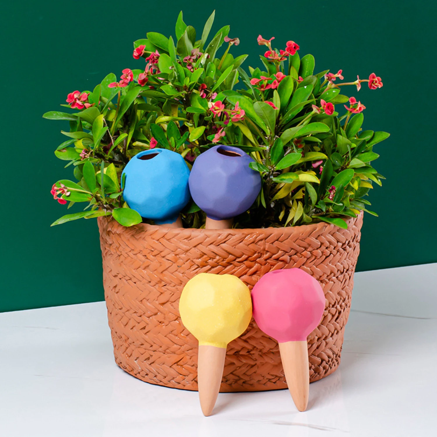 Polygonal Self-Watering Spike - Fit, Decorative Flower Pot Dripper & Gardening Tool
Polygonal Self-Watering Spike - Fit, Decorative Flower Pot Dripper & Gardening Tool