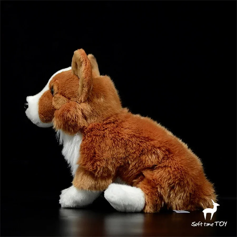 Realistic Welsh Corgi Plushie Heeler Plush Toy Lifelike Corgi Stuffed Animal Cattle Dog Simulation Doll Gift Collectors Kids
Realistic Welsh Corgi Plushie Heeler Plush Toy Lifelike Corgi Stuffed Animal Cattle Dog Simulation Doll Gift Collectors Kids