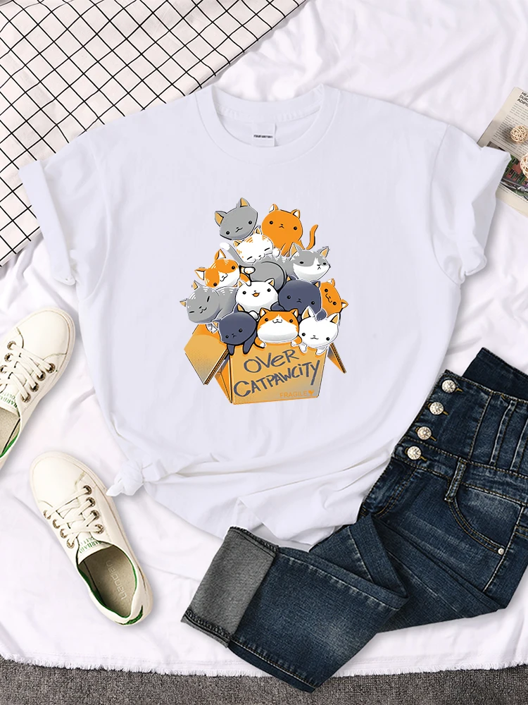 Women's Casual Creative Summer T-shirt with Cat Print New Round Neck Breathable Aesthetic Clothes Summer Streetwear
Women's Casual Creative Summer T-shirt with Cat Print New Round Neck Breathable Aesthetic Clothes Summer Streetwear