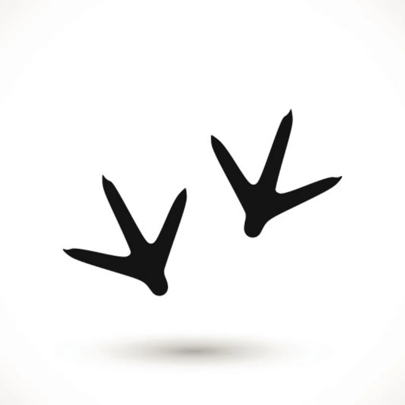 Монтажная пластина двигателя RC 380/28 для двигателя 540/3650, радиоуправляемые автомобильные аксессуары, заменяет прочный
Монтажная пластина двигателя RC 380/28 для двигателя 540/3650, радиоуправляемые автомобильные аксессуары, заменяет прочный