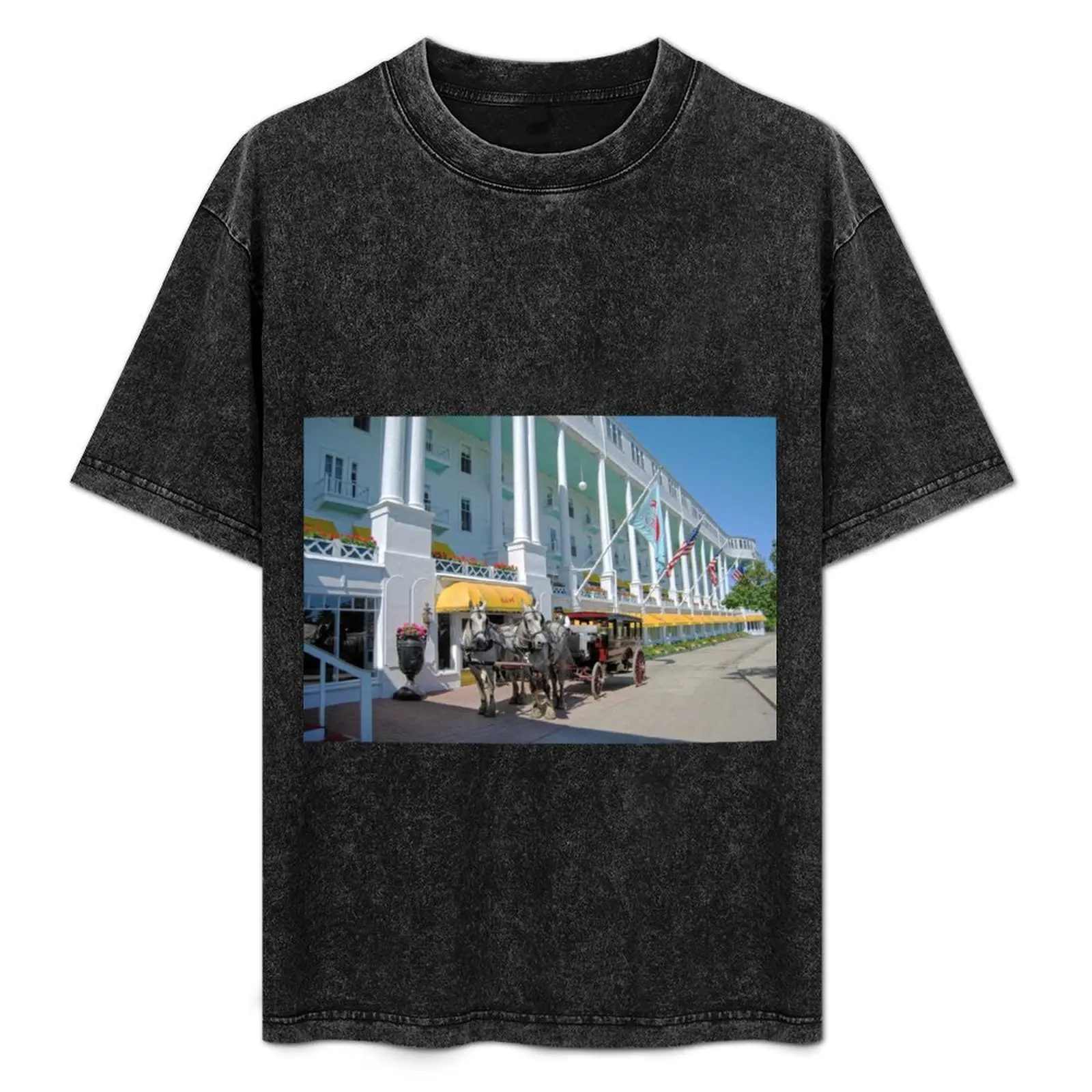 Carriage at the Grand Hotel, Mackinac Island, Michigan T-Shirt Man t-shirt shirts graphic tees black t shirts for men
Carriage at the Grand Hotel, Mackinac Island, Michigan T-Shirt Man t-shirt shirts graphic tees black t shirts for men