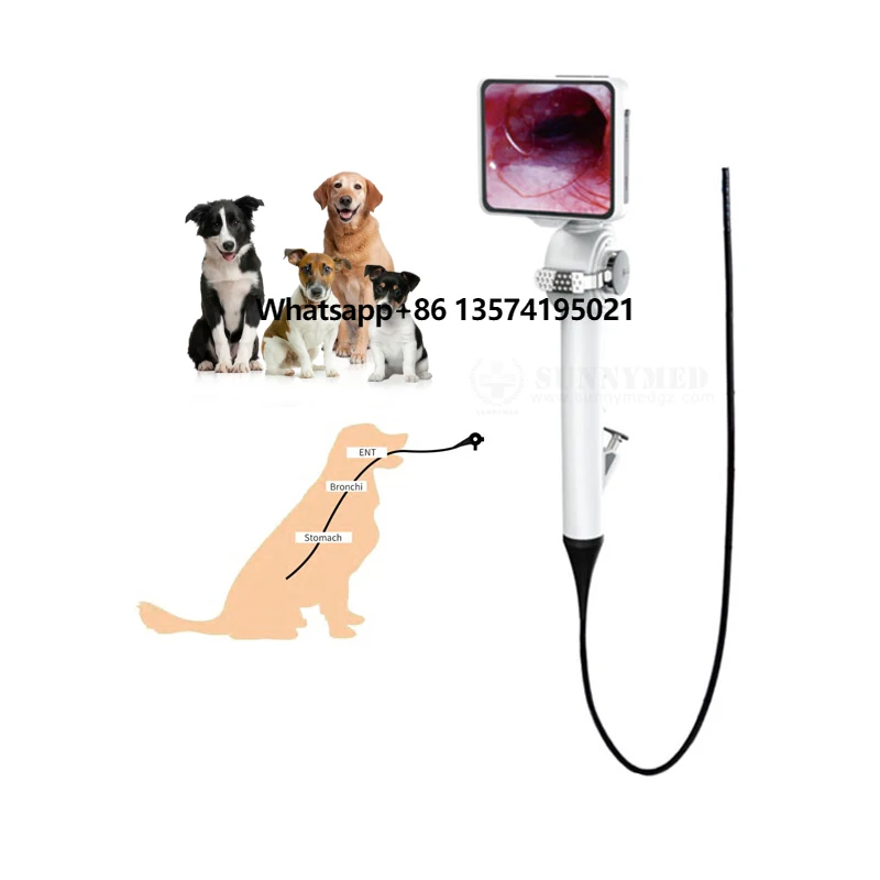 SY-P029-3 Portable Sinuscope Endoscope Video Veterinary Endoscope Small Animal Pet Veterinary Dog Endoscope
SY-P029-3 Portable Sinuscope Endoscope Video Veterinary Endoscope Small Animal Pet Veterinary Dog Endoscope