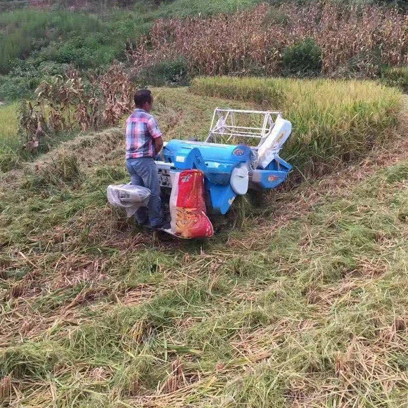 Ride-on small rice combine harvester 15 horsepower power harvester
Ride-on small rice combine harvester 15 horsepower power harvester