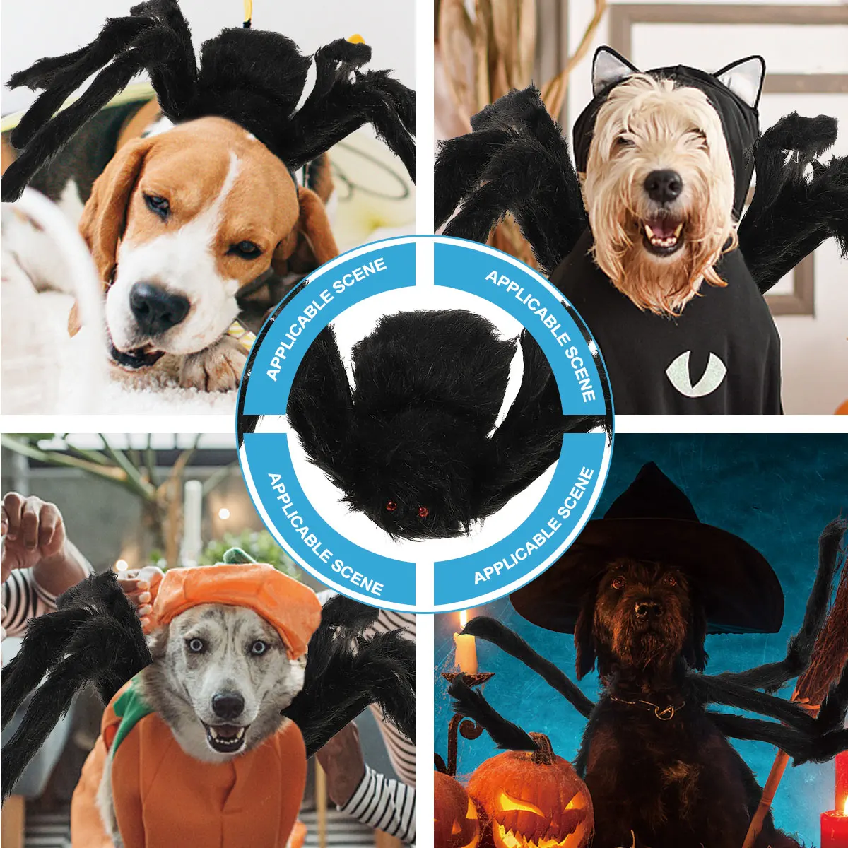 Outfits Pet Decoration Spider Pets Costume Halloween Costumes for Black Creepy Decorations Man
Outfits Pet Decoration Spider Pets Costume Halloween Costumes for Black Creepy Decorations Man