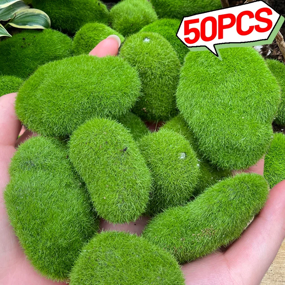 50/5PCS Artificial Moss Rocks Fake Stone Home Decor Creative Crafts Green Simulation Plant DIY Decoration for Garden Crafting
50/5PCS Artificial Moss Rocks Fake Stone Home Decor Creative Crafts Green Simulation Plant DIY Decoration for Garden Crafting