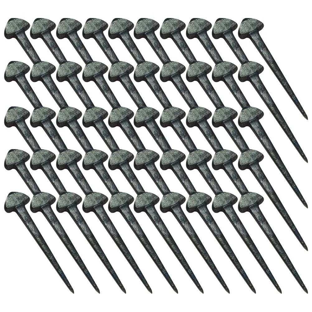 50 Pcs Horseshoe Nail Iron Horseshoes Tools Accessories for Real Sports Supplies and Nails Accessory Hoof
50 Pcs Horseshoe Nail Iron Horseshoes Tools Accessories for Real Sports Supplies and Nails Accessory Hoof