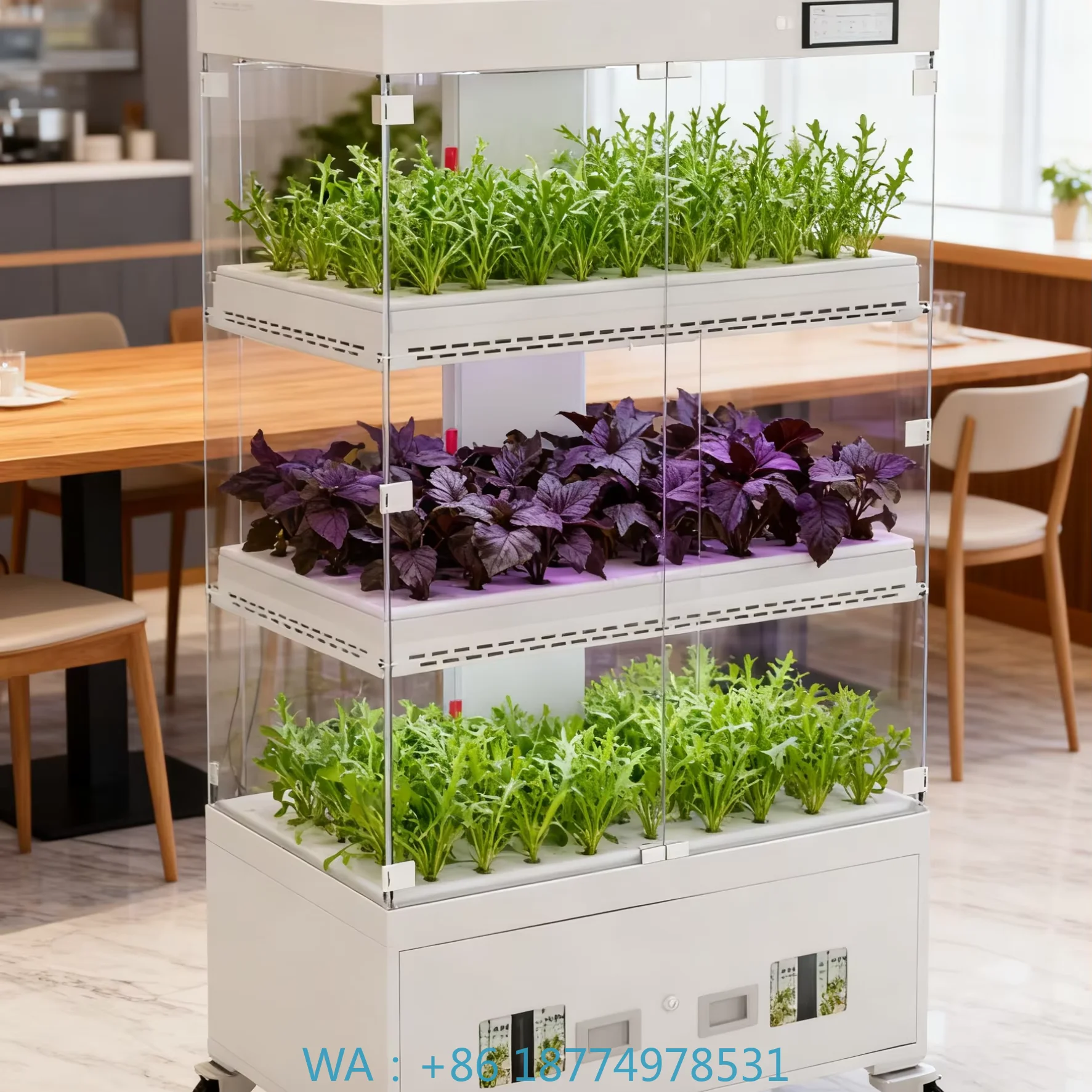 WiFi Enabled Automatic Soilless Cultivation EquipmentIntelligent Indoor Hydroponic 3-Layer Glass Cabinet Planting System
WiFi Enabled Automatic Soilless Cultivation EquipmentIntelligent Indoor Hydroponic 3-Layer Glass Cabinet Planting System