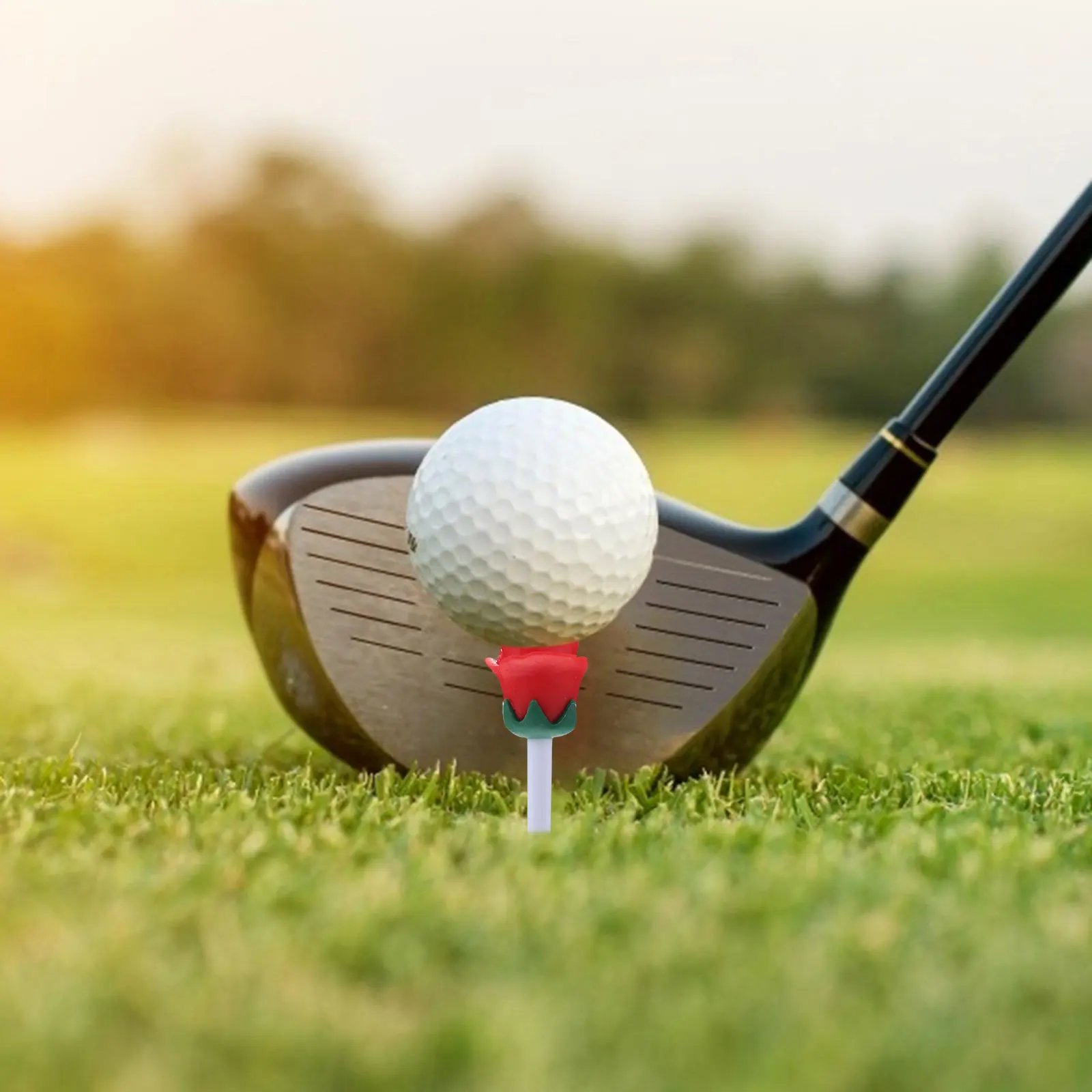 6Pcs Rose Design Golf Tees High Quality Golf Ball Nail Practice Accessories for Beginners Golfs Tees Golfs Ball Racks
6Pcs Rose Design Golf Tees High Quality Golf Ball Nail Practice Accessories for Beginners Golfs Tees Golfs Ball Racks