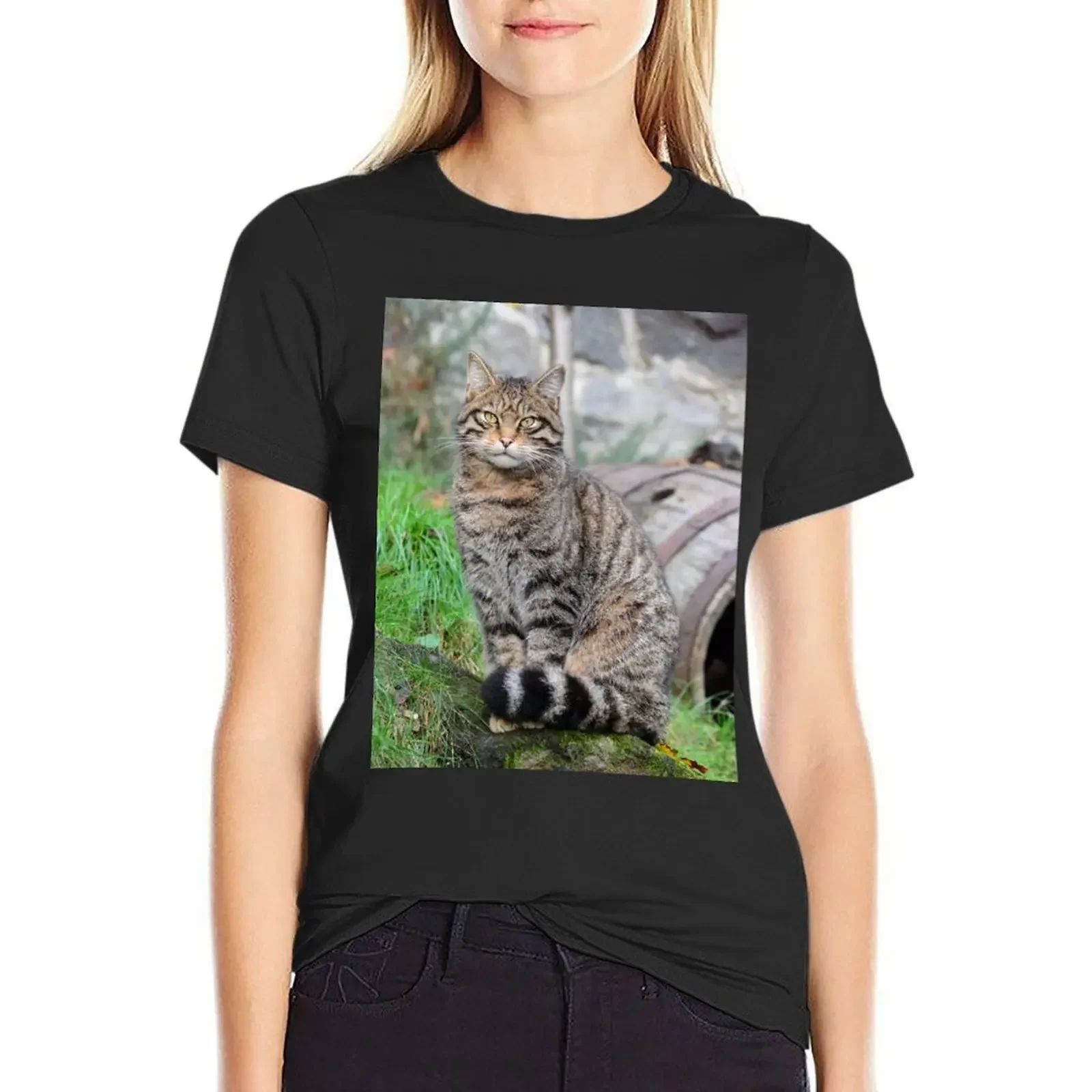 Потрясающая футболка Highland Tiger (Scottish Wildcat), топы больших размеров, эстетичная одежда, рубашки для тренировок для женщин, свободный крой
Потрясающая футболка Highland Tiger (Scottish Wildcat), топы больших размеров, эстетичная одежда, рубашки для тренировок для женщин, свободный крой