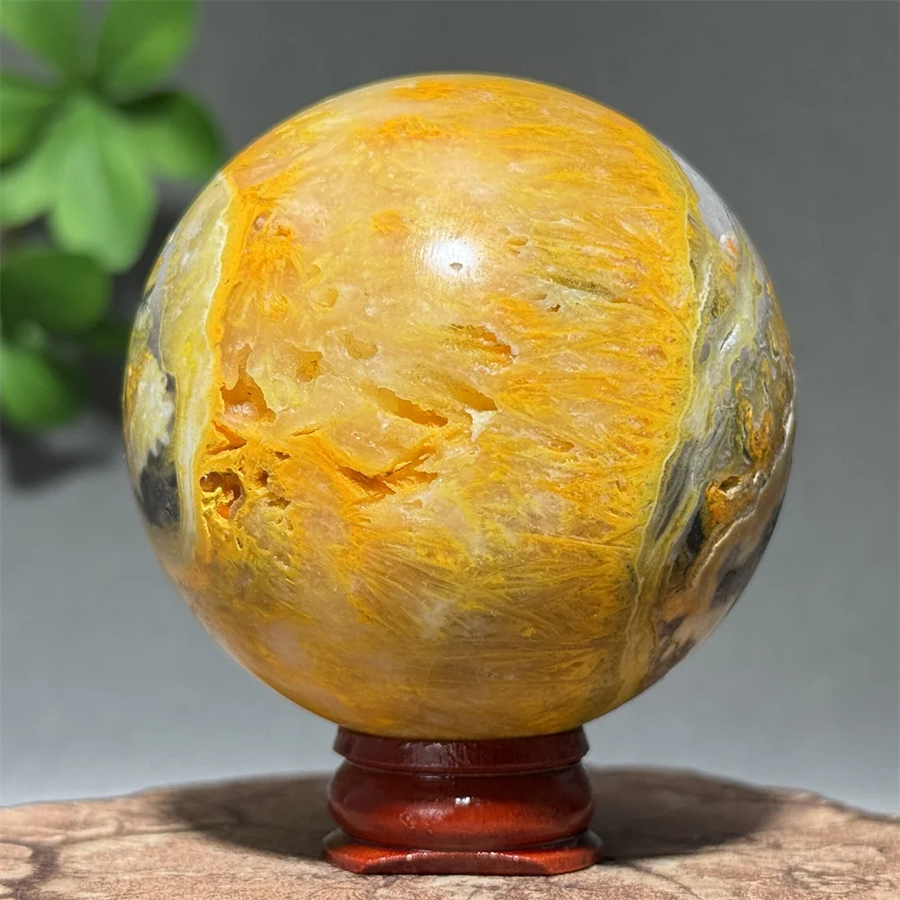 Natural Gem Bumblebee Mineral Shi Ying Ball Home Feng Shui Decoration Energy Spiritual Healing Reiki Meditation+Base
Natural Gem Bumblebee Mineral Shi Ying Ball Home Feng Shui Decoration Energy Spiritual Healing Reiki Meditation+Base