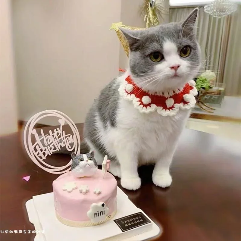 Cute Cartoon Princess Cat Scarf Dog Bib with Woolen Collar & Floral Dog Drool Towel Bundle Dog Accessories
Cute Cartoon Princess Cat Scarf Dog Bib with Woolen Collar & Floral Dog Drool Towel Bundle Dog Accessories
