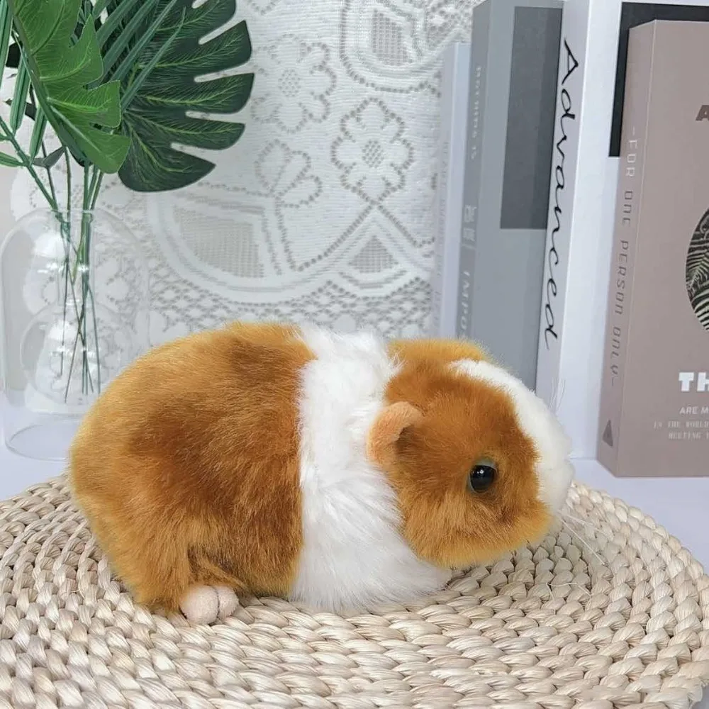 Stuffed Animals Guinea Pig Stuffed Cute Dolls Simulation Plush Mouse Dolls 18cm Fluffty Hamster Doll Children Gift
Stuffed Animals Guinea Pig Stuffed Cute Dolls Simulation Plush Mouse Dolls 18cm Fluffty Hamster Doll Children Gift
