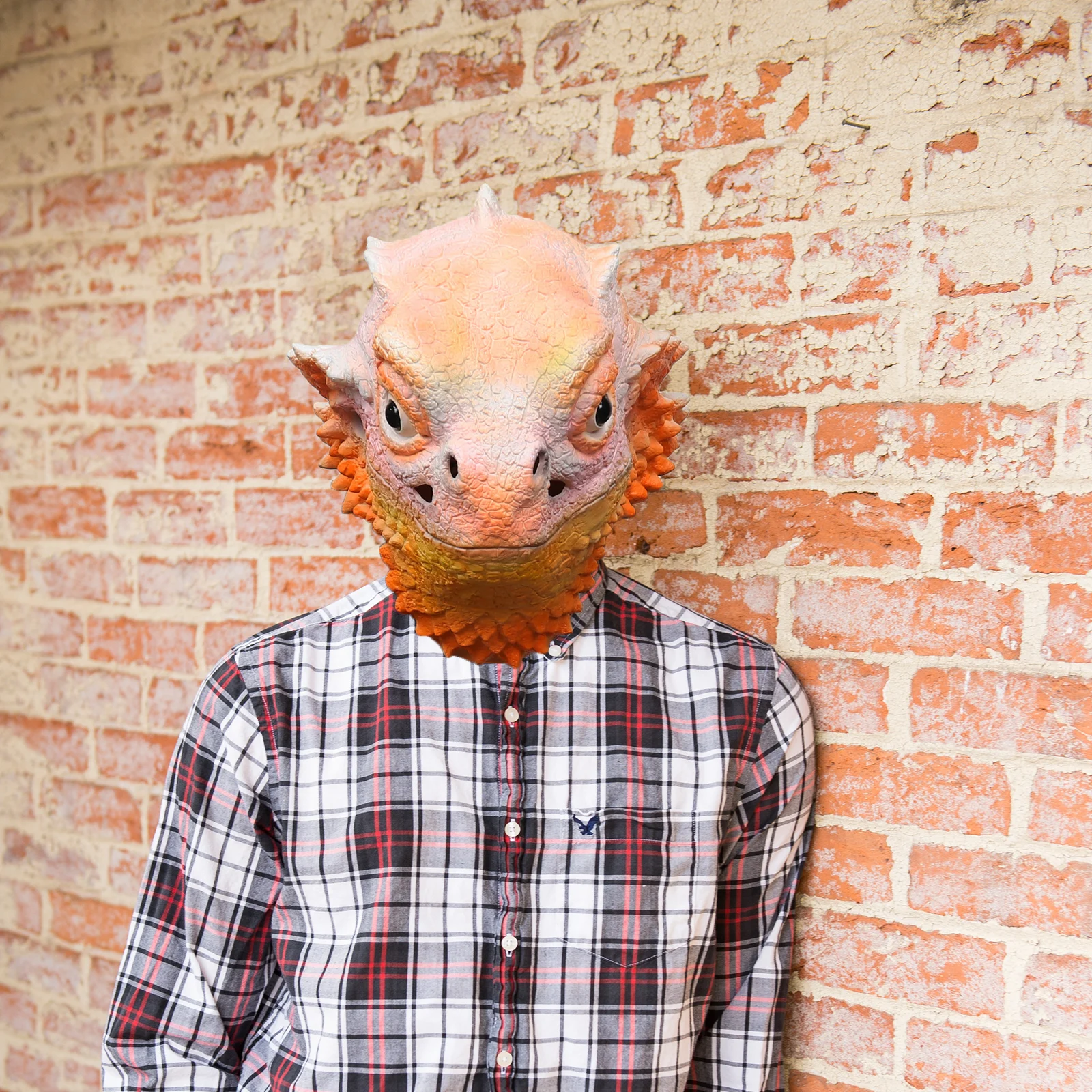 Lizard Mask Cute Halloween Dress Up Costume Accessory Cosplay Props Decorate Face Adorable Masks For Adults
Lizard Mask Cute Halloween Dress Up Costume Accessory Cosplay Props Decorate Face Adorable Masks For Adults