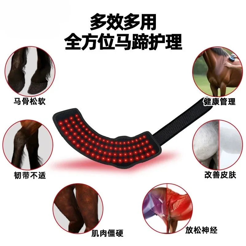 660nm Horse Infrared Therapy Blanket Tendon & Hoof Care Bell Boots 1pcs
660nm Horse Infrared Therapy Blanket Tendon & Hoof Care Bell Boots 1pcs