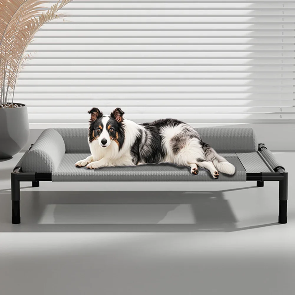 Raised Mesh Breathable Dog Bed with Removable Washable Bolsters Cooling Dog Cat Cot Breathable Pet Sofa Cot for Indoor Outdoor
Raised Mesh Breathable Dog Bed with Removable Washable Bolsters Cooling Dog Cat Cot Breathable Pet Sofa Cot for Indoor Outdoor
