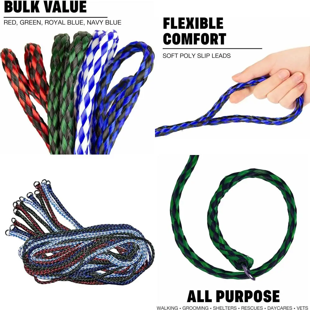 Набор из 24 прочных поводков-ремней для собак длиной 5 футов с металлическим O-образным кольцом для грумеров, приютов, ветеринаров и дневных центров для собак
Набор из 24 прочных поводков-ремней для собак длиной 5 футов с металлическим O-образным кольцом для грумеров, приютов, ветеринаров и дневных центров для собак