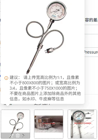 T135B-40MPa Series Pointer Melt Pressure Gauge 4-20mA Transmitter Output Pressure Transducer
T135B-40MPa Series Pointer Melt Pressure Gauge 4-20mA Transmitter Output Pressure Transducer