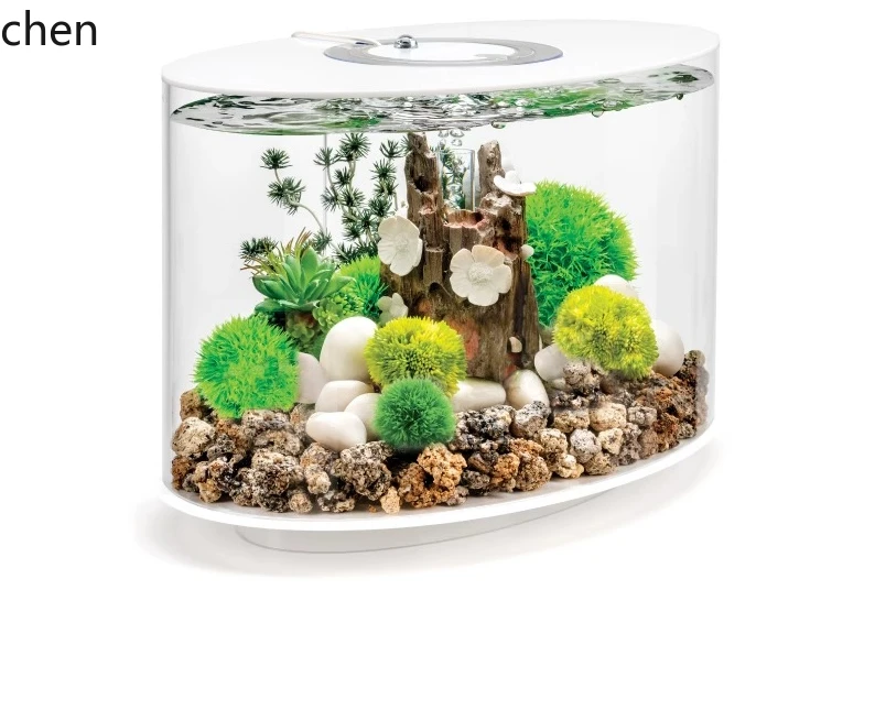 CP small fish tank bedroom desktop water feature living room home lazy aquarium new 2025
CP small fish tank bedroom desktop water feature living room home lazy aquarium new 2025