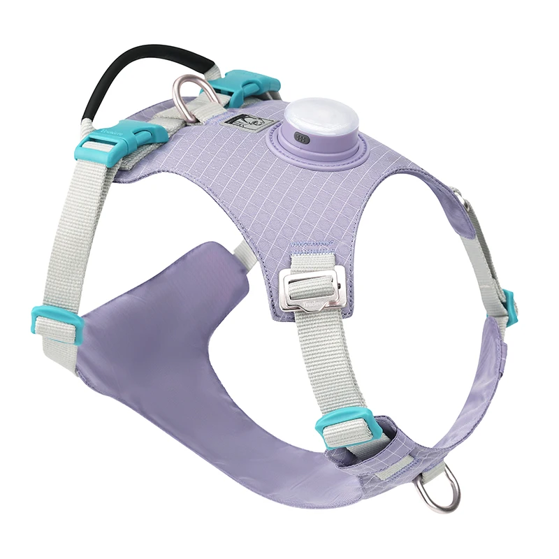LED Light Dog Harness Reflective Cat Vest, Comfortable Nylon Pet Leash, Durable Night Safety Walking Harness Hot Sale
LED Light Dog Harness Reflective Cat Vest, Comfortable Nylon Pet Leash, Durable Night Safety Walking Harness Hot Sale
