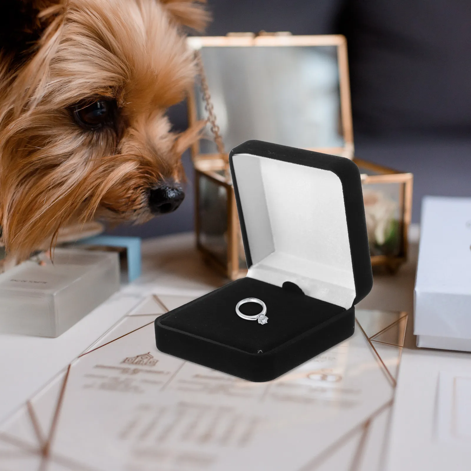 Stylish Presentation Box for Medals Badges Rings Earrings Necklaces Lapel Pins Coins Jewelry Display Storage Travel
Stylish Presentation Box for Medals Badges Rings Earrings Necklaces Lapel Pins Coins Jewelry Display Storage Travel