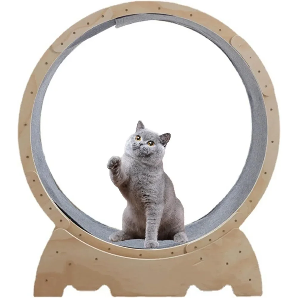 Cat Exercise Wheel,Cat Wheels for Indoor Cats,Cat Treadmill Wheel with Locking Mechanism,Running for Indoor Cats Fitness &Health
Cat Exercise Wheel,Cat Wheels for Indoor Cats,Cat Treadmill Wheel with Locking Mechanism,Running for Indoor Cats Fitness &Health