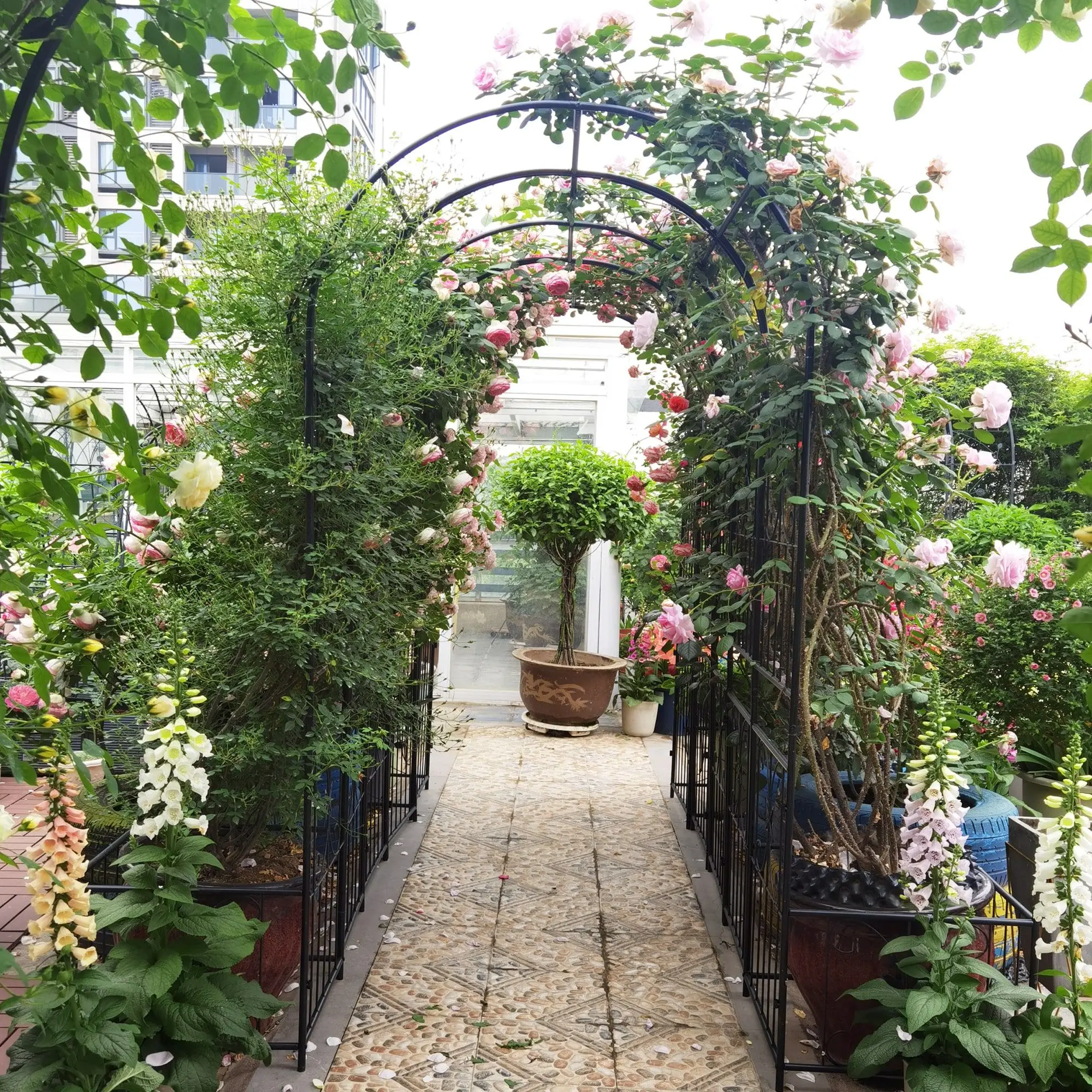Metal Garden Arch with Plant Pot Garden Arbor Trellis Climbing Plants Support Rose Arch Black
Metal Garden Arch with Plant Pot Garden Arbor Trellis Climbing Plants Support Rose Arch Black