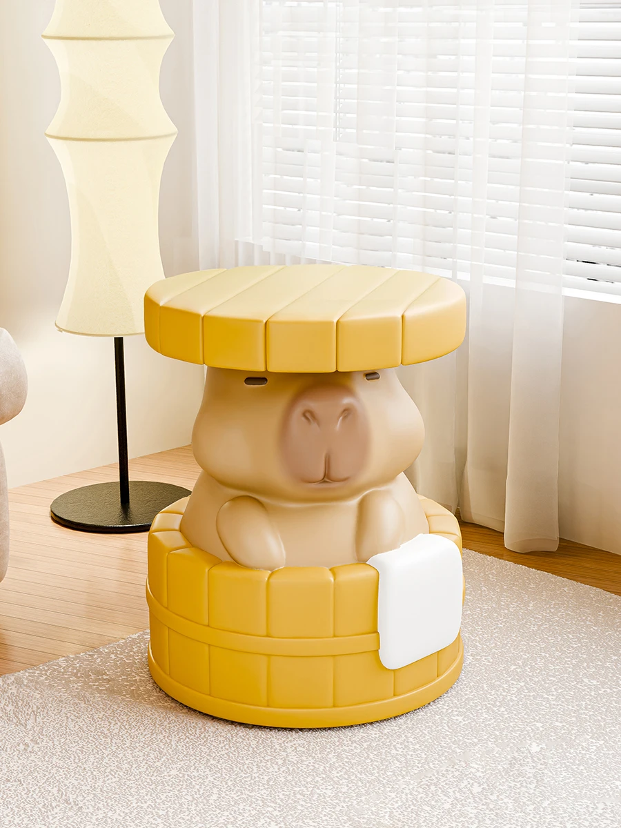 Creative home shoe change stool home decoration new greenhouse housewarming gift
Creative home shoe change stool home decoration new greenhouse housewarming gift