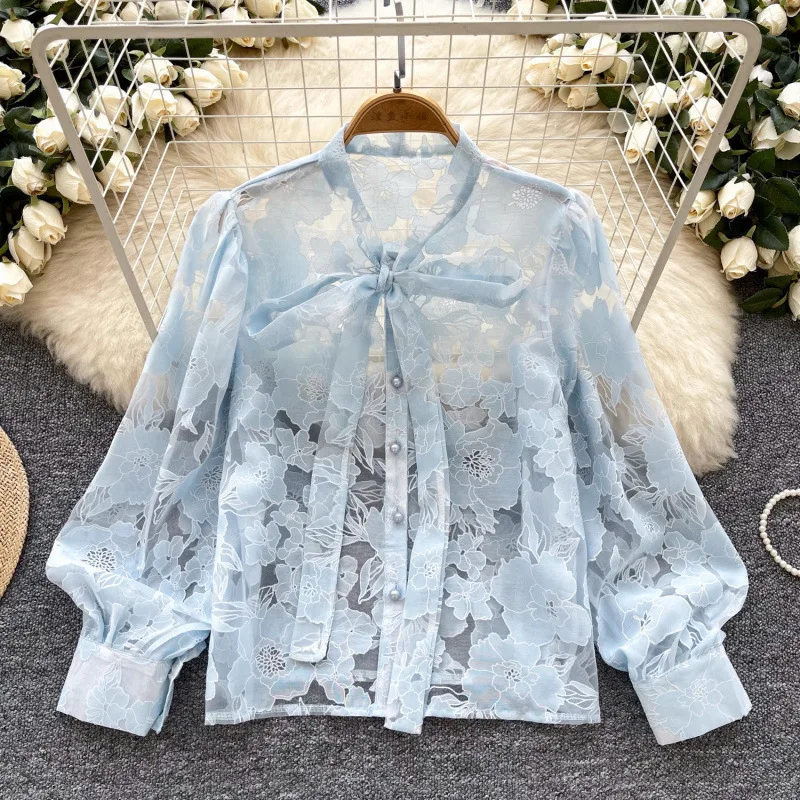 French Style High-End Bow Tie V-Neck Lantern Sleeve Shirt For Women, Slim And Embroidered Chic Mesh Top
French Style High-End Bow Tie V-Neck Lantern Sleeve Shirt For Women, Slim And Embroidered Chic Mesh Top