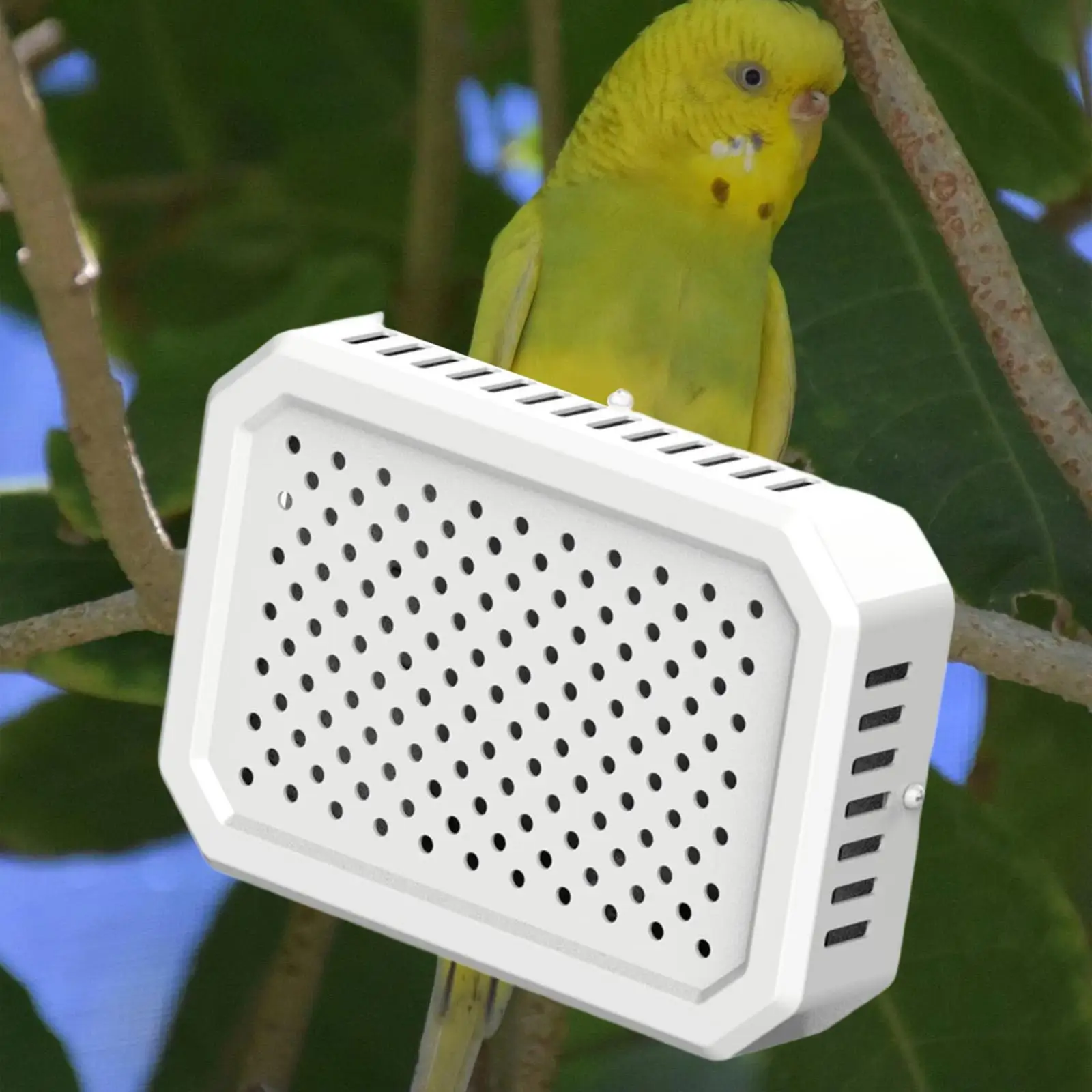 Bird Warmer Thermostatic Heater Pet Cage Panel Heated Pad for Cockatiel Cages Indoor Birds Comfort
Bird Warmer Thermostatic Heater Pet Cage Panel Heated Pad for Cockatiel Cages Indoor Birds Comfort
