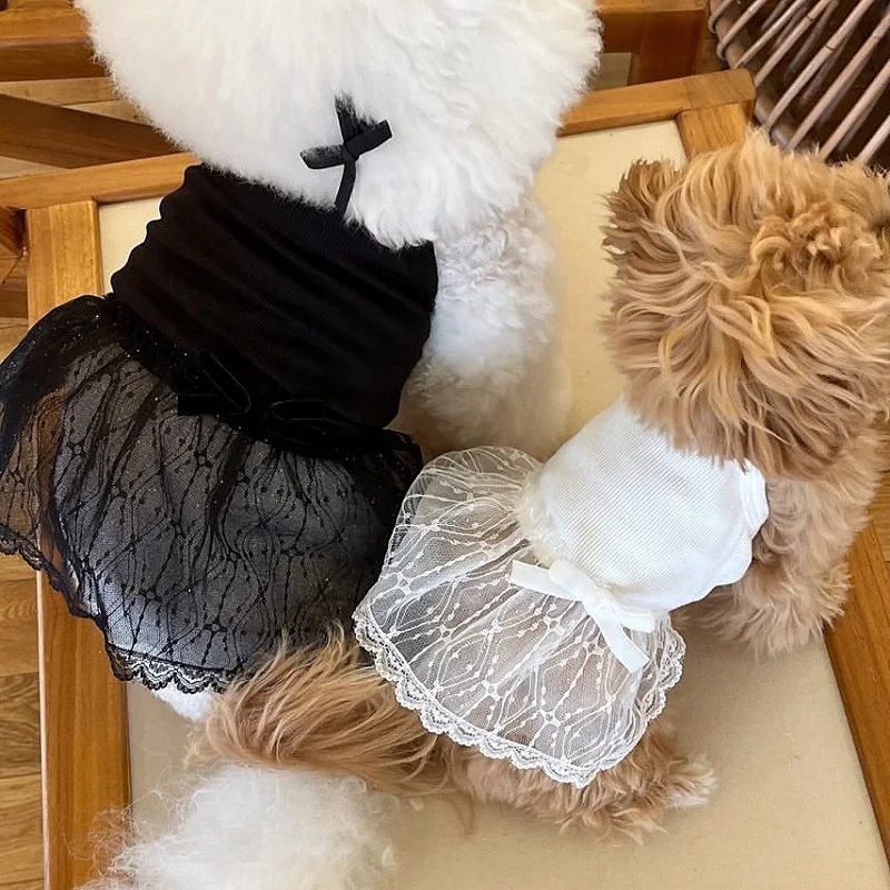 Lace Dog Skirts Pet Dresses Princess Dress Summer Fashion Dog Dresses Teddy Black Dog Vest Cat Dress Chihuahua Pet Clothing
Lace Dog Skirts Pet Dresses Princess Dress Summer Fashion Dog Dresses Teddy Black Dog Vest Cat Dress Chihuahua Pet Clothing