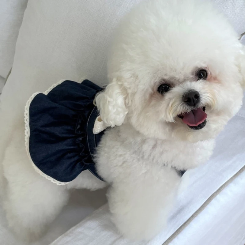 Dog Denim Skirt Spring Summer Couples Dog Clothes Teddy Dress Puppy Breathable Clothes with Bow Pearl Applique
Dog Denim Skirt Spring Summer Couples Dog Clothes Teddy Dress Puppy Breathable Clothes with Bow Pearl Applique