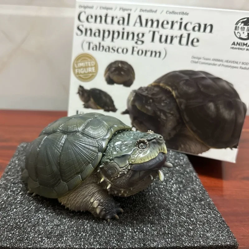 Коллекционная фигурка-модель «Небесное тело животного»: Центральноамериканская каймановая черепаха (форма Табаско) – Декор для рабочего стола для любителей черепах
Коллекционная фигурка-модель «Небесное тело животного»: Центральноамериканская каймановая черепаха (форма Табаско) – Декор для рабочего стола для любителей черепах