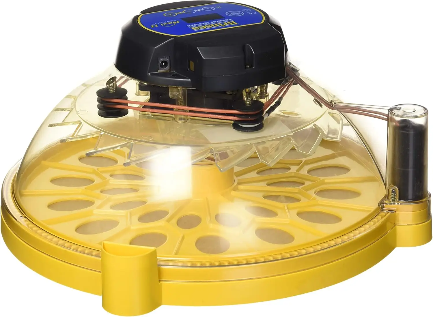 Brinsea Products USAC26C Maxi II Advance Automatic 14 Egg Incubator, One Size, Yellow/Black
Brinsea Products USAC26C Maxi II Advance Automatic 14 Egg Incubator, One Size, Yellow/Black