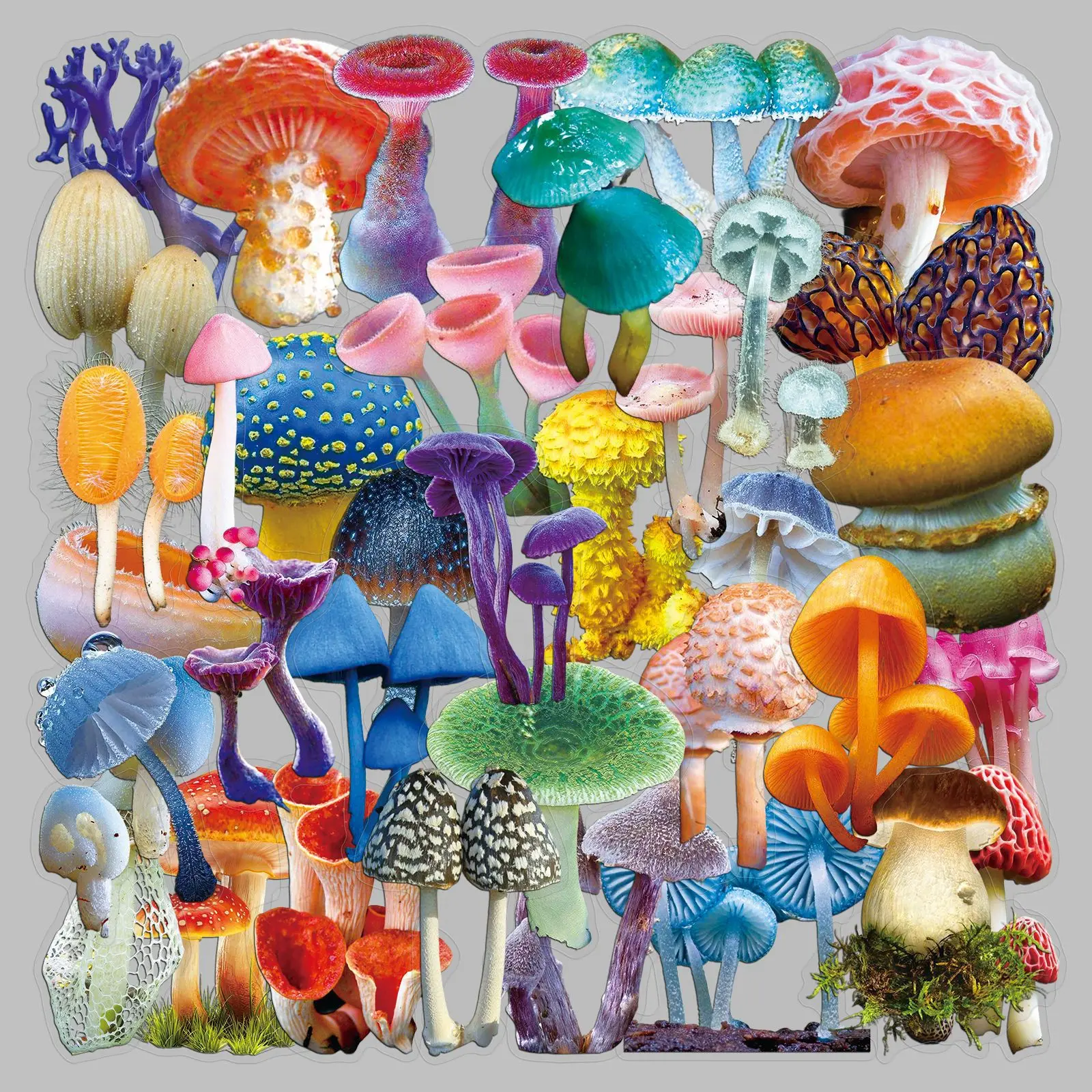 50PCS Mushroom PET Transparent Stickers Realistic Creative Decoration Mobile Phone Case Notebook Water Cup Skateboard Toys Gifts
50PCS Mushroom PET Transparent Stickers Realistic Creative Decoration Mobile Phone Case Notebook Water Cup Skateboard Toys Gifts