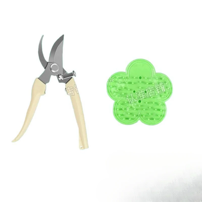 Садовый сад в горшке, художественные ножницы для свежих цветов, бытовая зелень
Садовый сад в горшке, художественные ножницы для свежих цветов, бытовая зелень