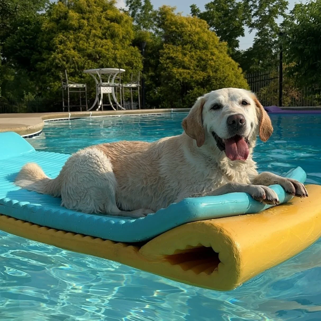 Eco-Friendly Thick Foam Lounge Mattress Pool Floating Pad Children All Ages Swimming Kickboards
Eco-Friendly Thick Foam Lounge Mattress Pool Floating Pad Children All Ages Swimming Kickboards